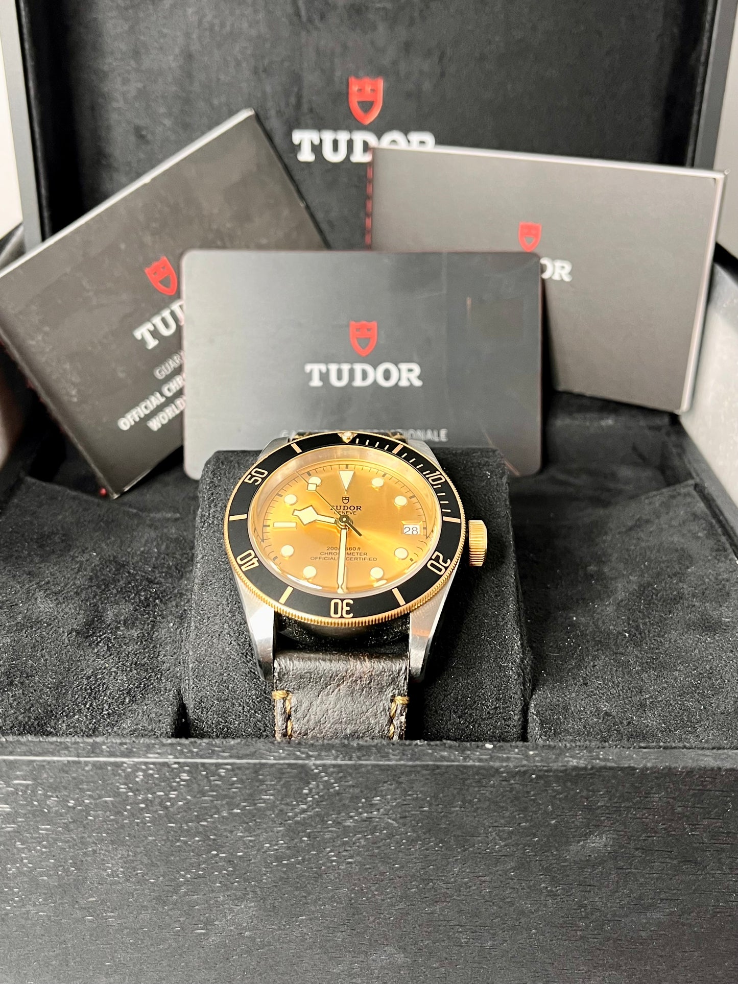 2022 TUDOR Black Bay 41mm Steel & Gold - M79733N -Champagne Dial - Full Set