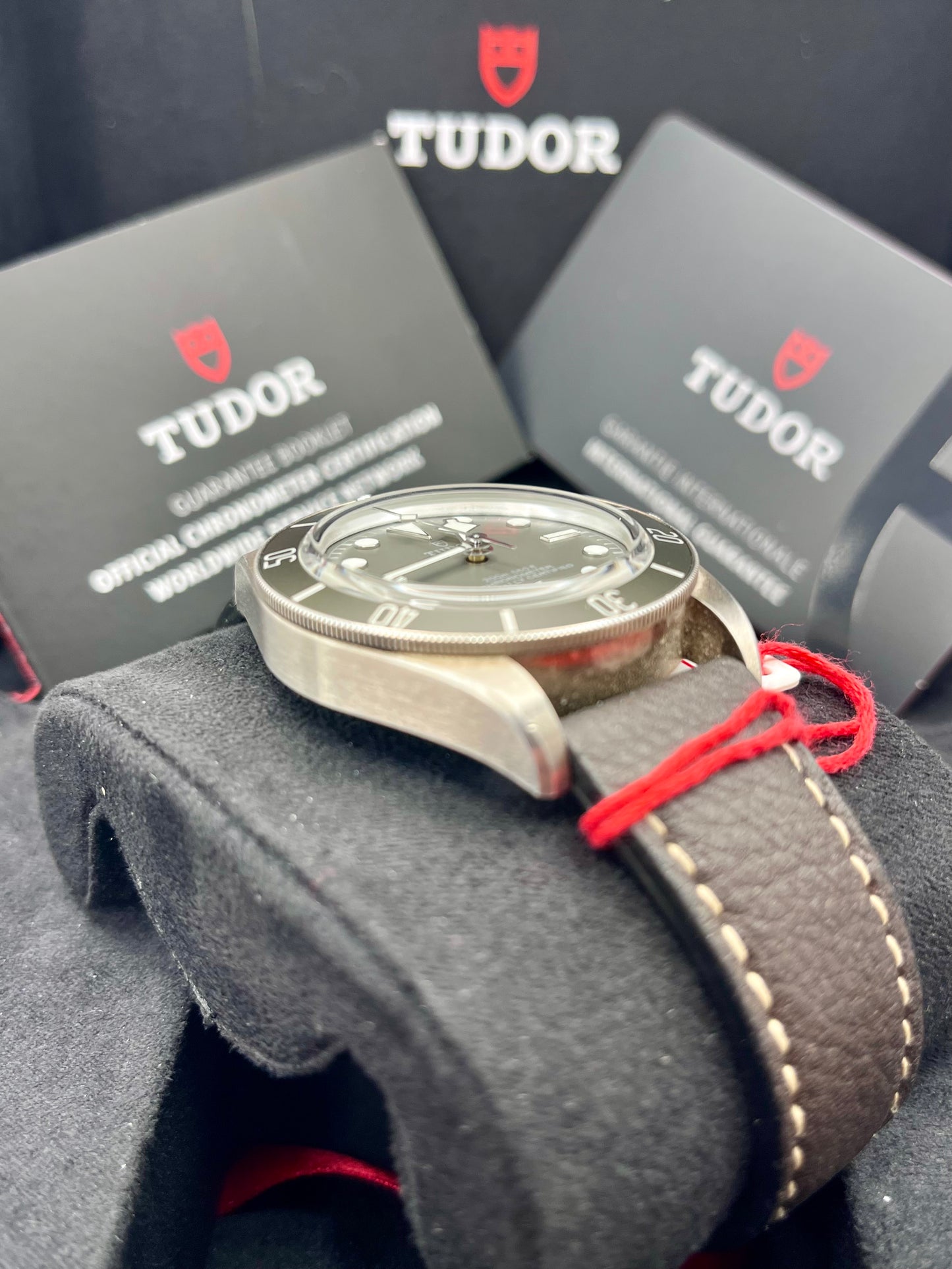 2023 TUDOR Black Bay 58 - 79010SG - 925AG Silver - Warranty