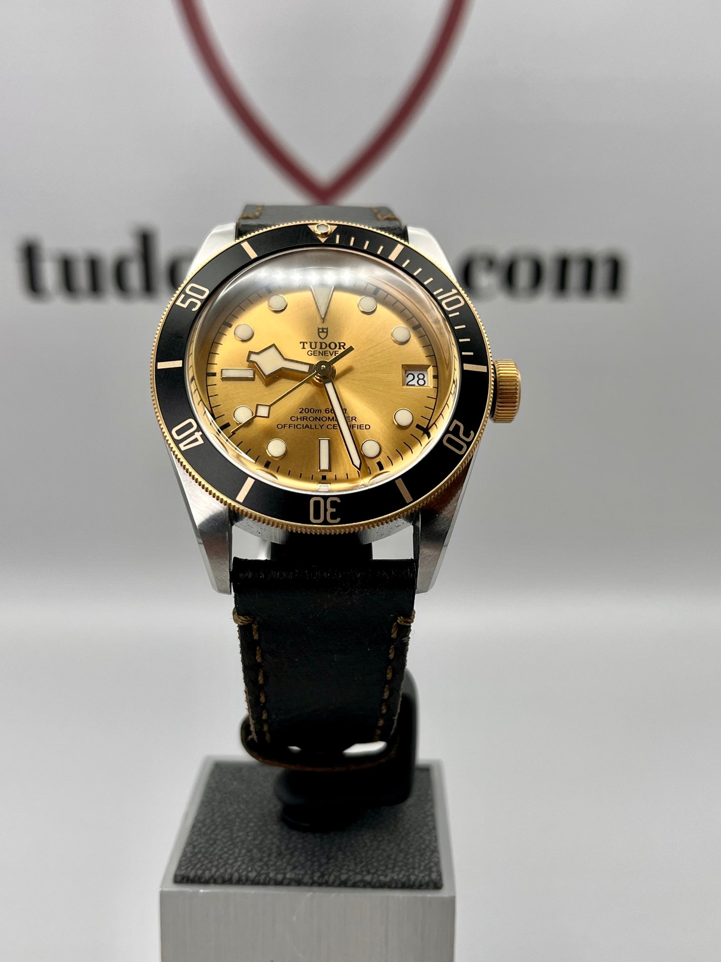 2022 TUDOR Black Bay 41mm Steel & Gold - M79733N -Champagne Dial - Full Set