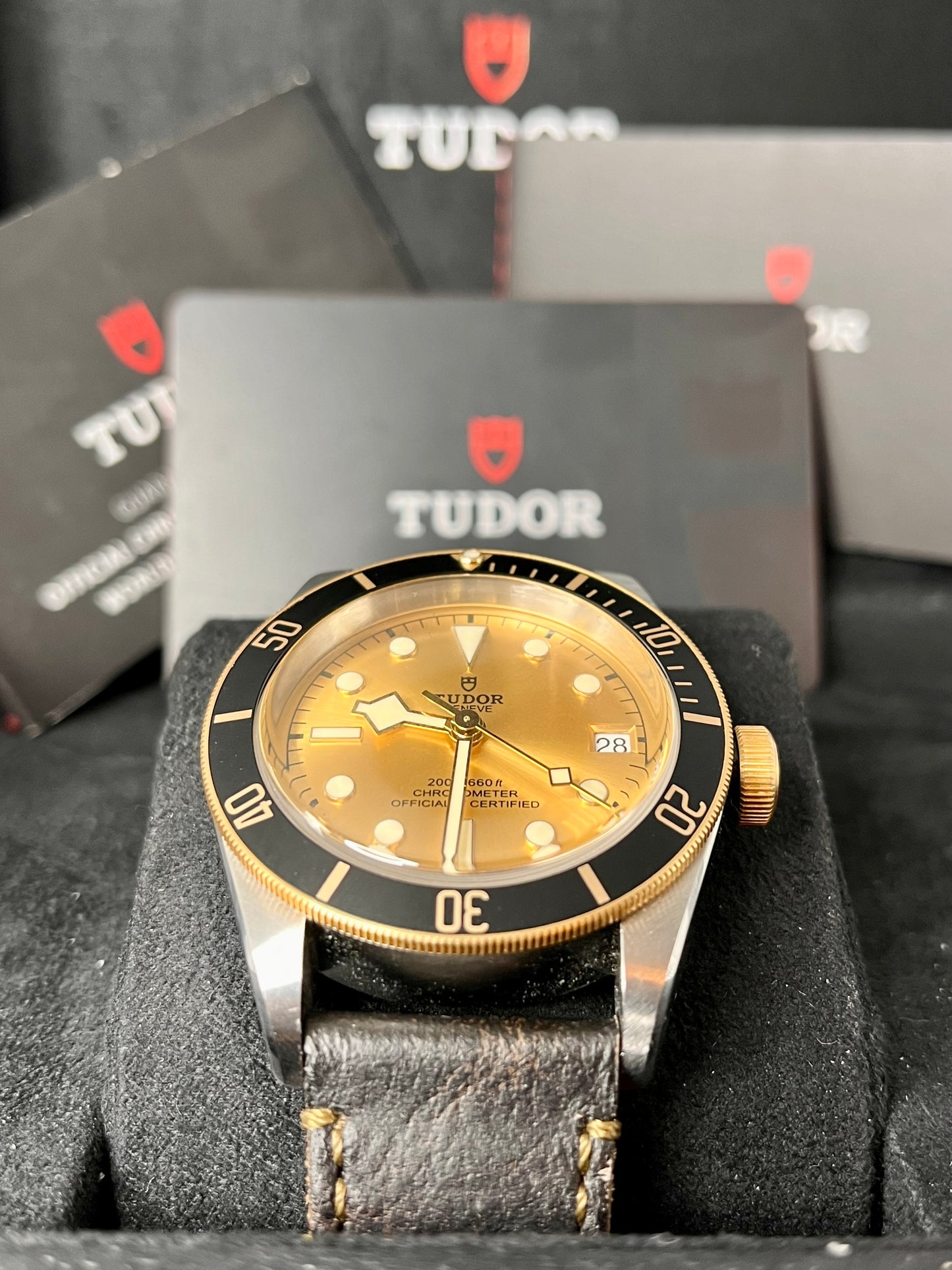 2022 TUDOR Black Bay 41mm Steel & Gold - M79733N -Champagne Dial - Full Set