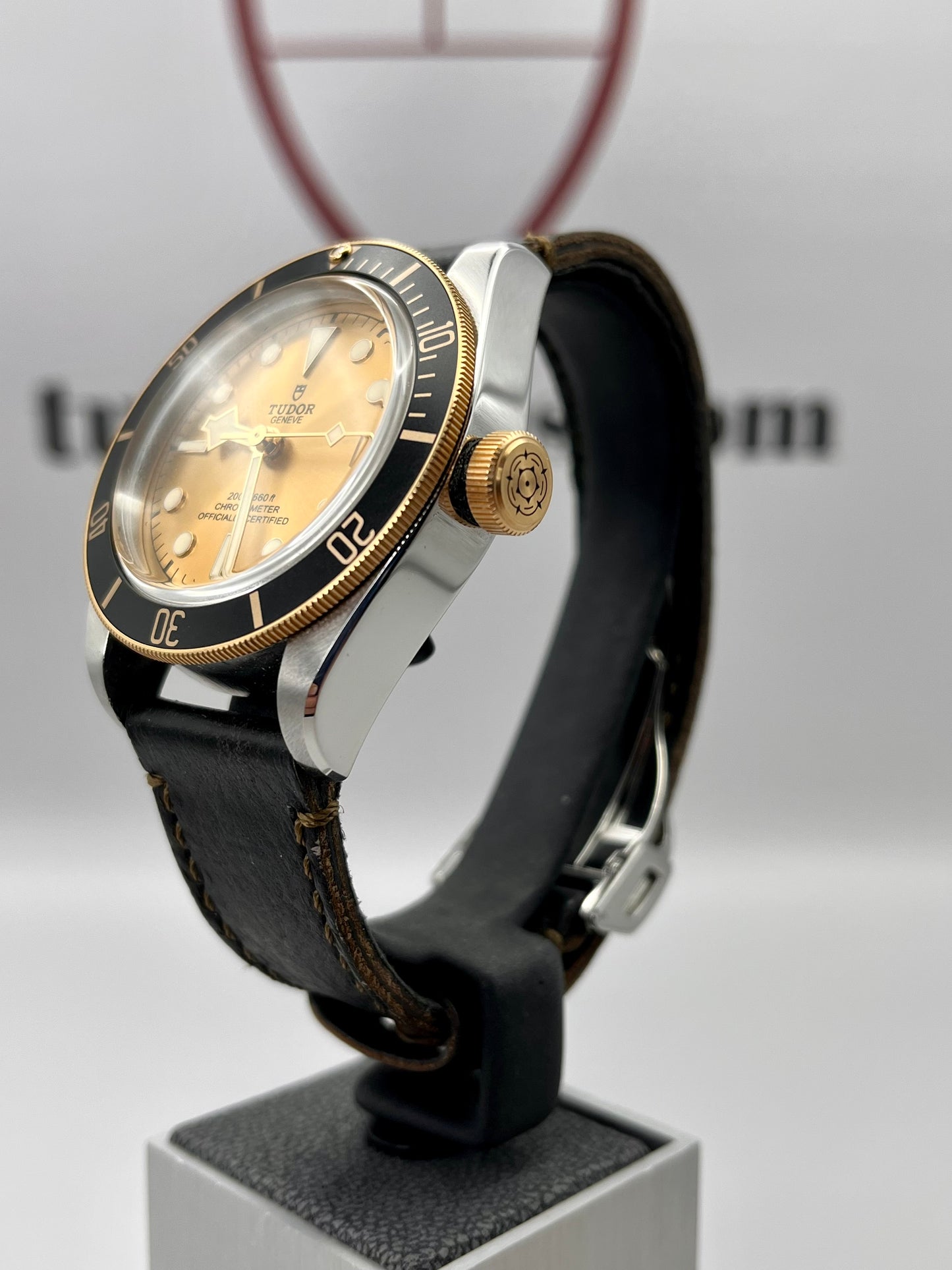2022 TUDOR Black Bay 41mm Steel & Gold - M79733N -Champagne Dial - Full Set