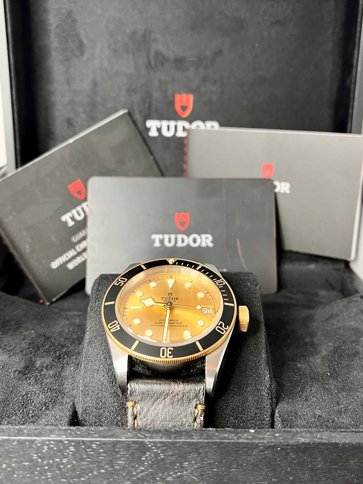 2022 TUDOR Black Bay 41mm Steel & Gold - M79733N -Champagne Dial - Full Set