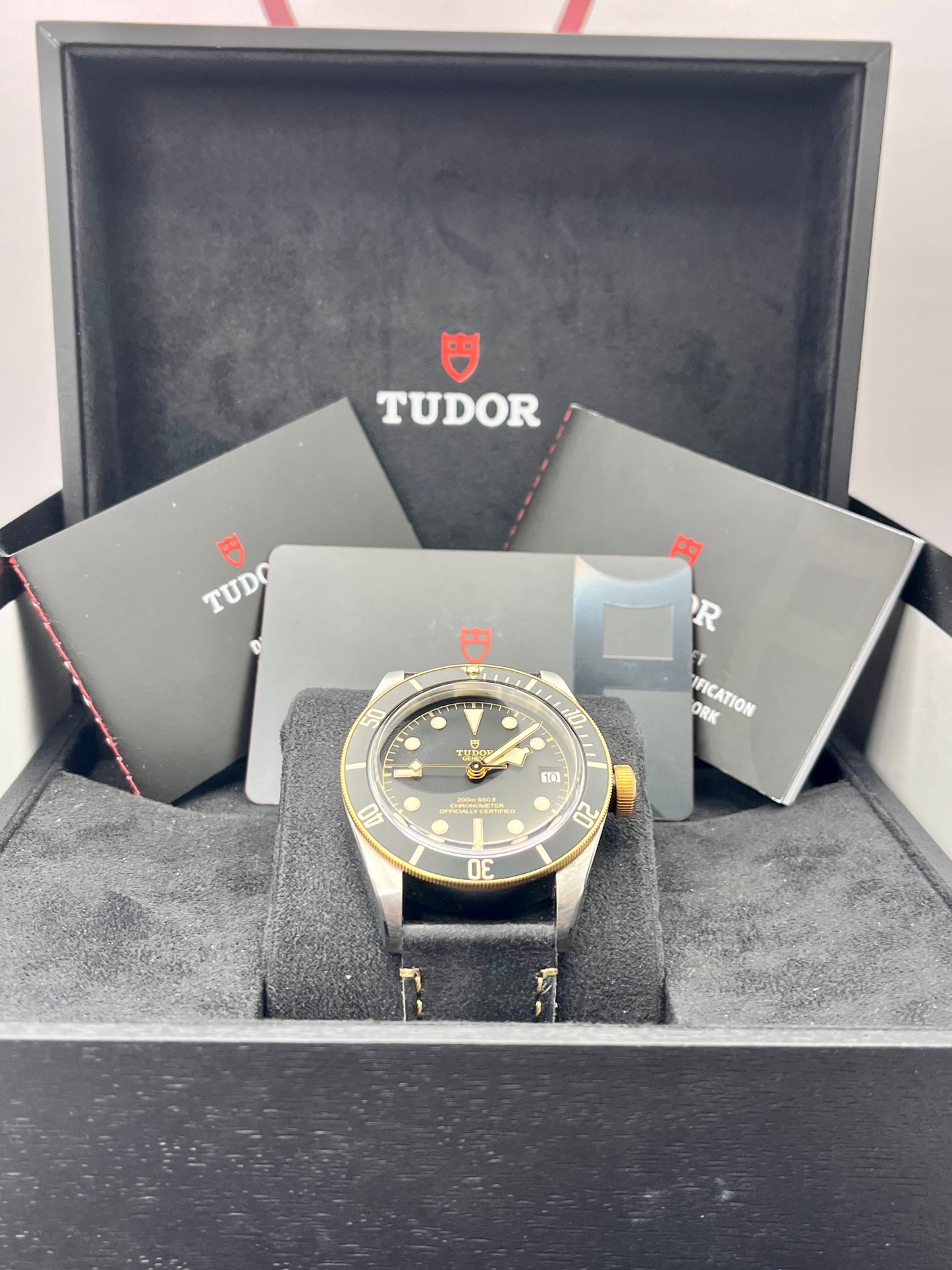 2022 TUDOR Black Bay Steel & Gold 41mm 79733N Full Set