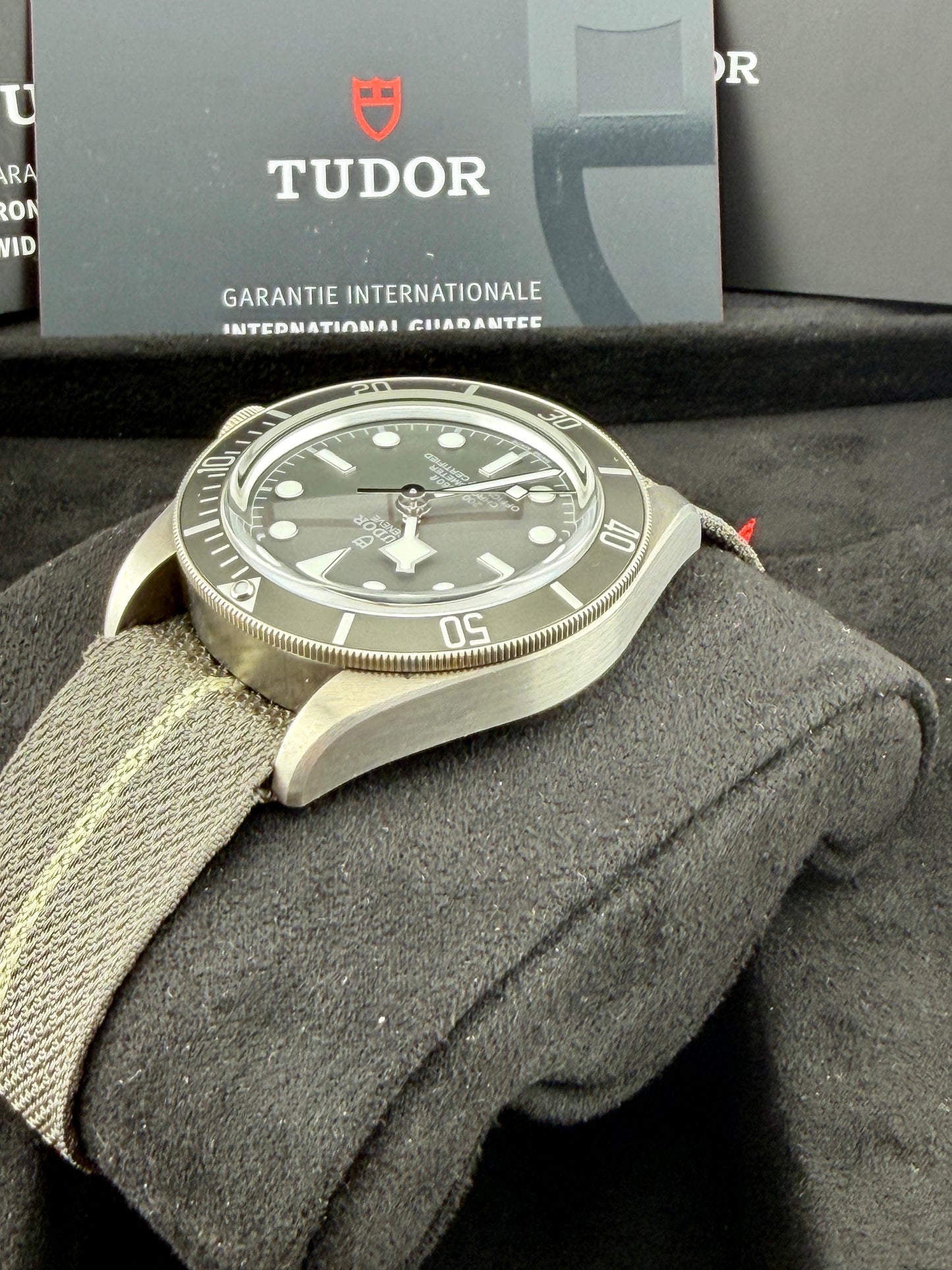 2025 TUDOR Black Bay 79010SG 39mm 925AG Full Set Warranty to 2030