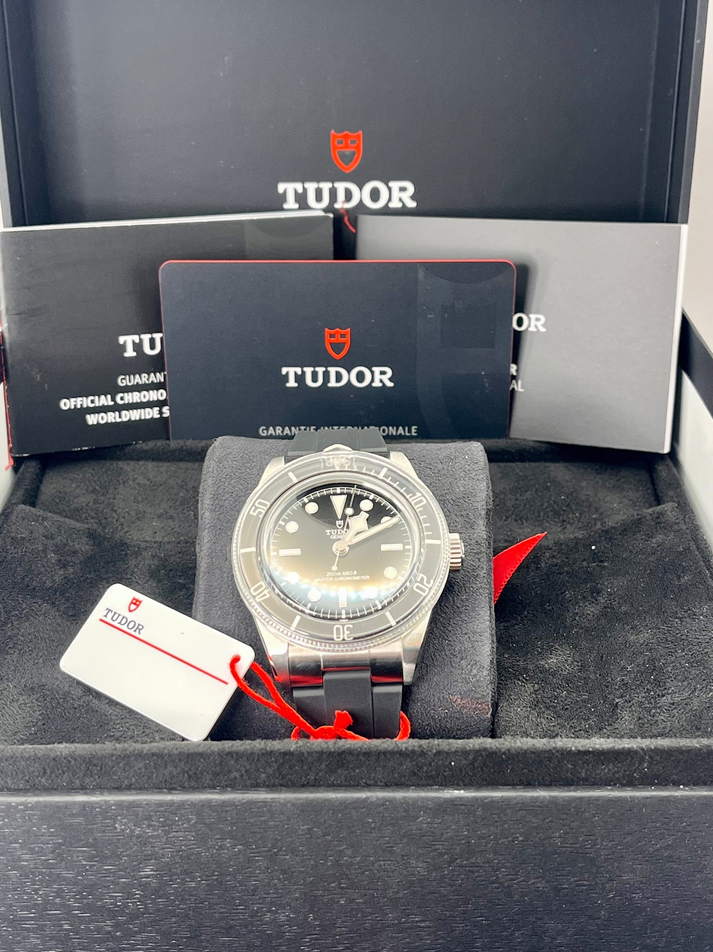 2024 TUDOR Black Bay 'Monochrome' - 41mm - M7941A1A0NU - METAS
