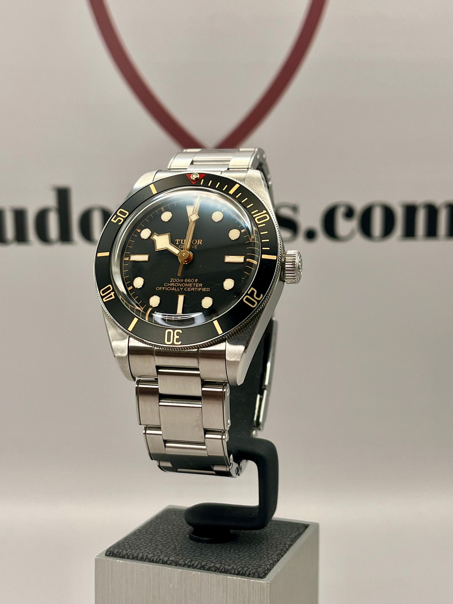 2025 TUDOR Black Bay - 79030N - 39 mm - Full Set