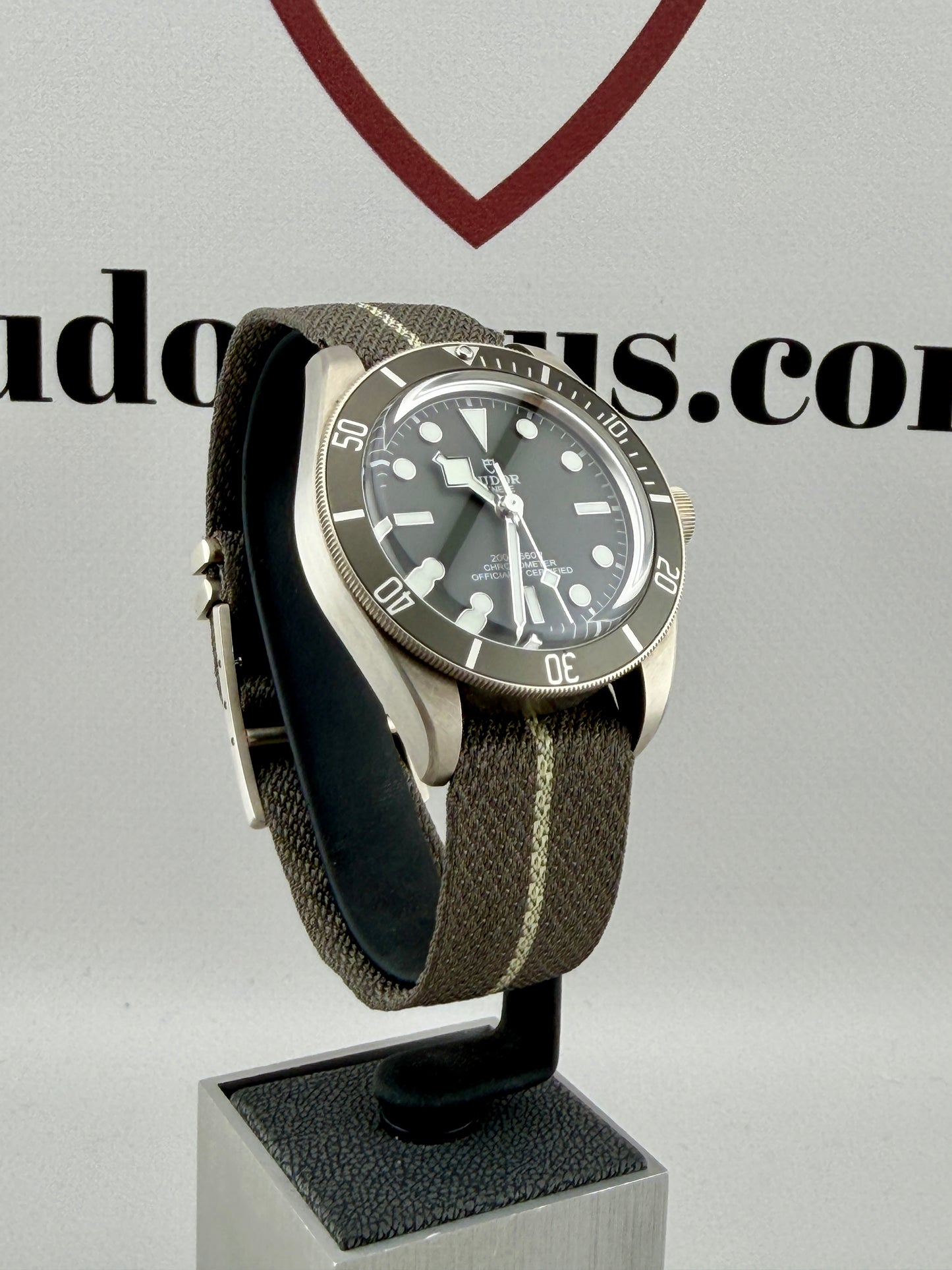 2025 TUDOR Black Bay 79010SG 39mm 925AG Full Set Warranty to 2030