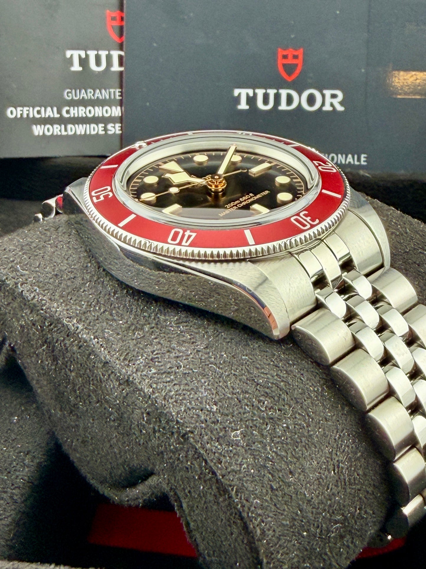 2024 TUDOR Black Bay Burgundy 41mm METAS M7941A1A0RU Full Set