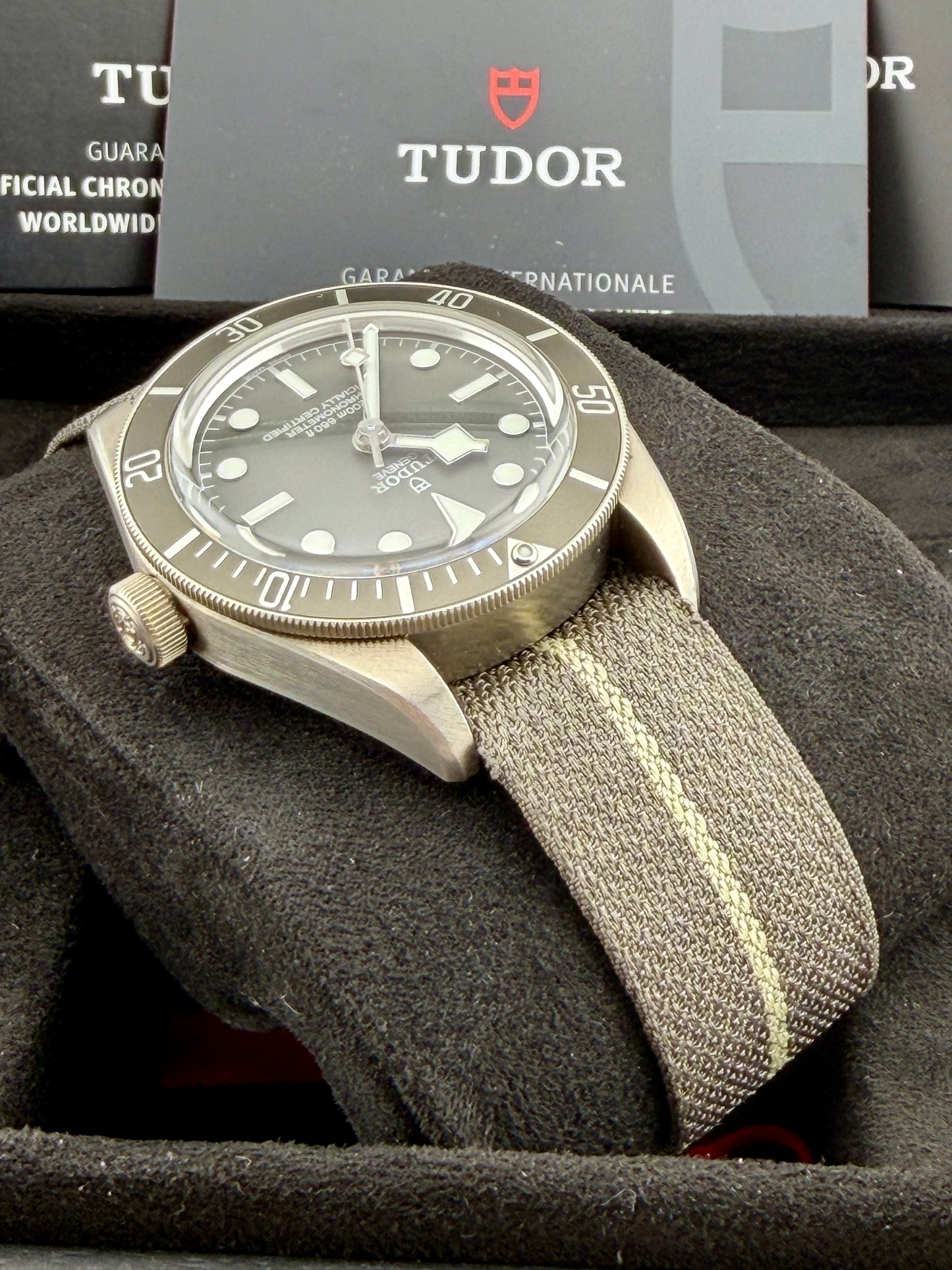 2025 TUDOR Black Bay 79010SG 39mm 925AG Full Set Warranty to 2030