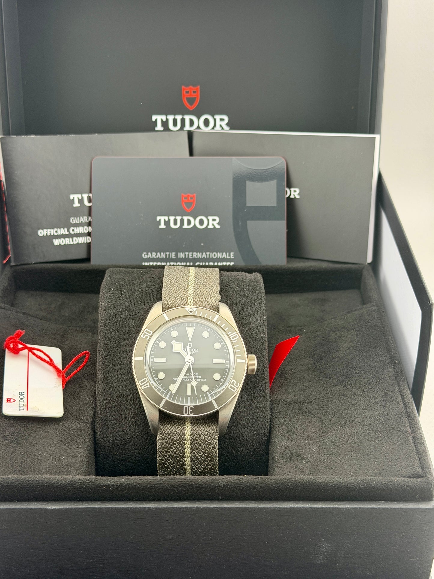 2025 TUDOR Black Bay 79010SG 39mm 925AG Full Set Warranty to 2030