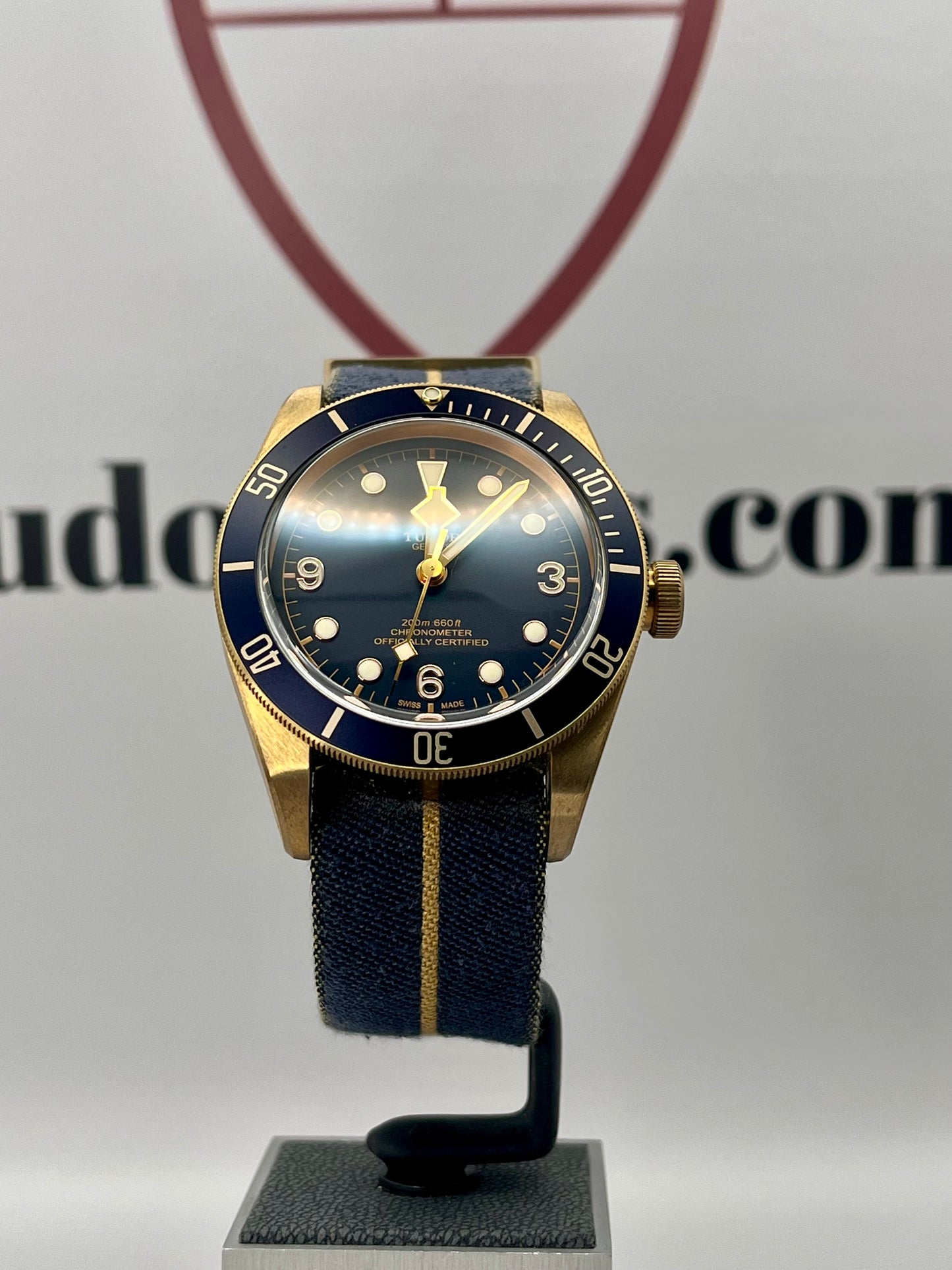 2020 TUDOR Black Bay Bronze Bucherer Edt - 79250BB- 43mm - Full Set