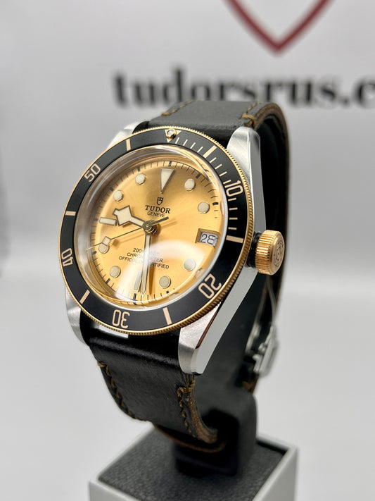 2022 TUDOR Black Bay 41mm Steel & Gold - M79733N -Champagne Dial - Full Set