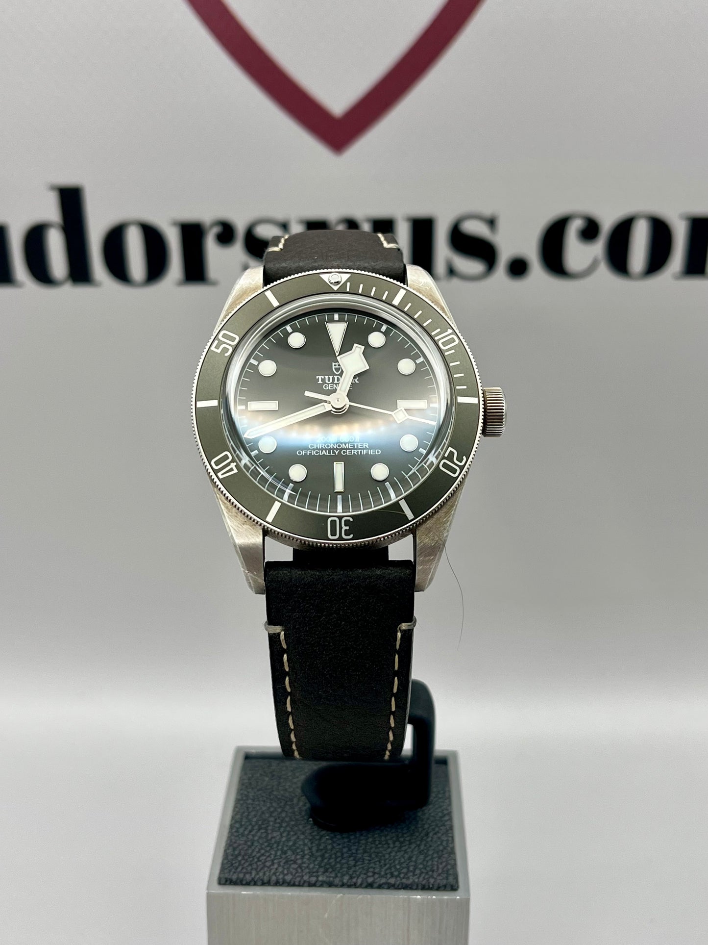 2023 TUDOR Black Bay 58 - 79010SG - 925AG Silver - Warranty