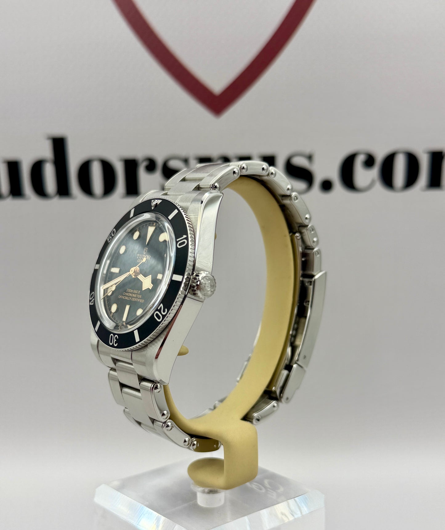 2025 TUDOR Black Bay 54 M79000 37mm Full Set Immaculate Full Set