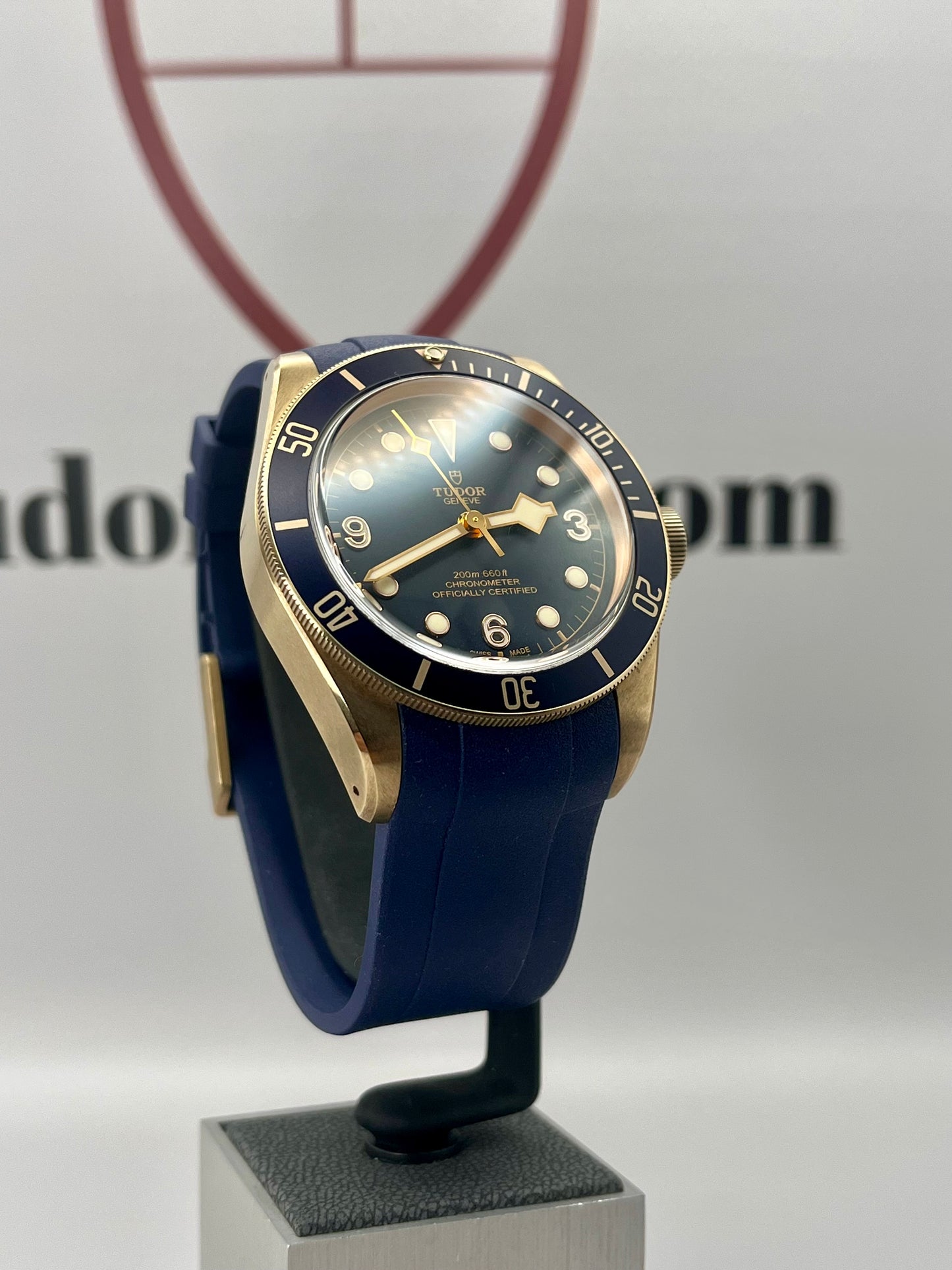 2022 TUDOR Black Bay Bronze Bucherer Edition - 79250BB- 43mm - Full Set