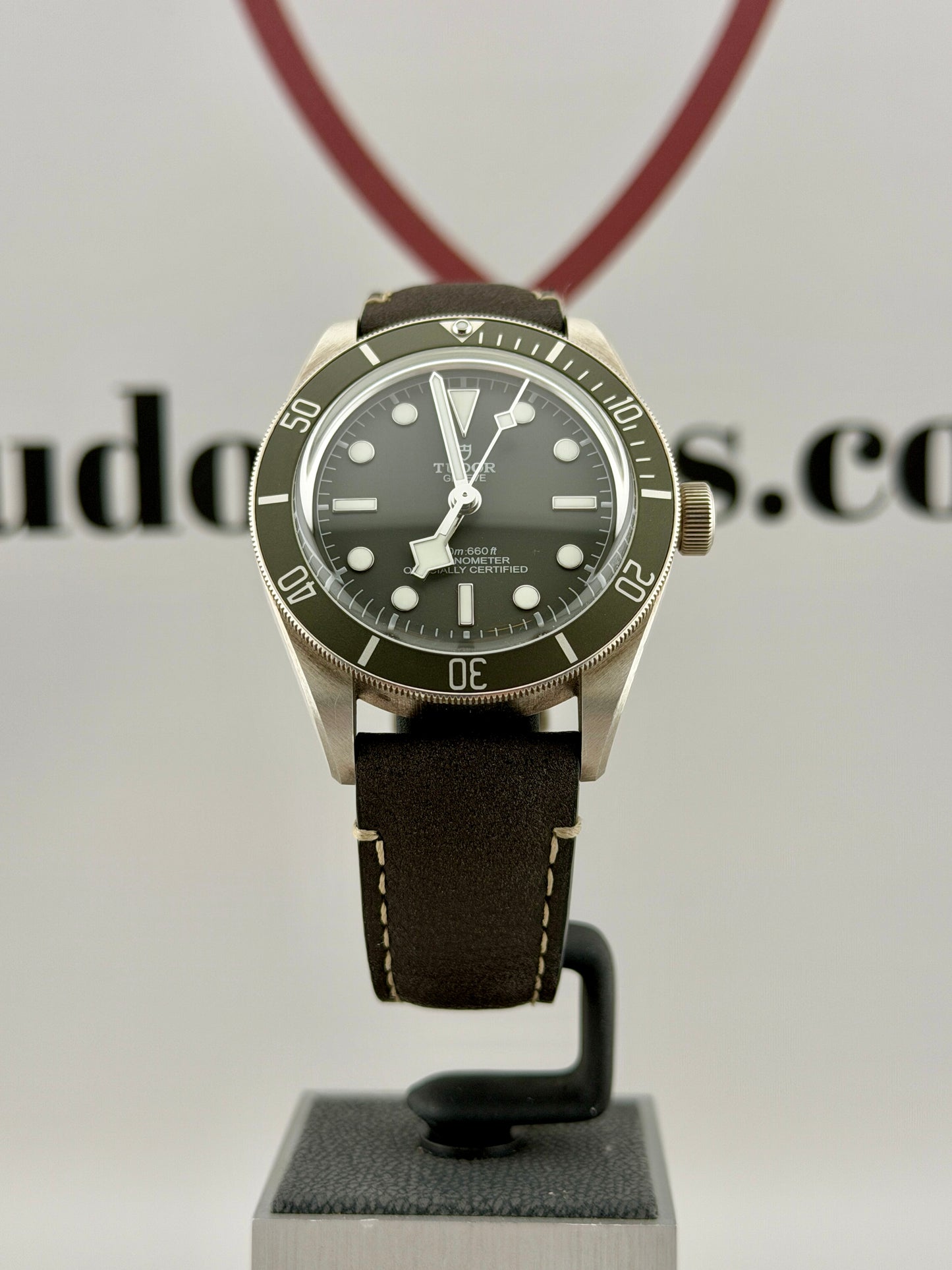 2025 TUDOR Black Bay 79010SG 39mm 925AG Full Set Warranty to 2030
