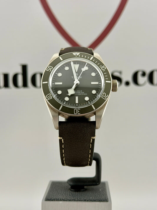 2025 TUDOR Black Bay 79010SG 39mm 925AG Full Set Warranty to 2030