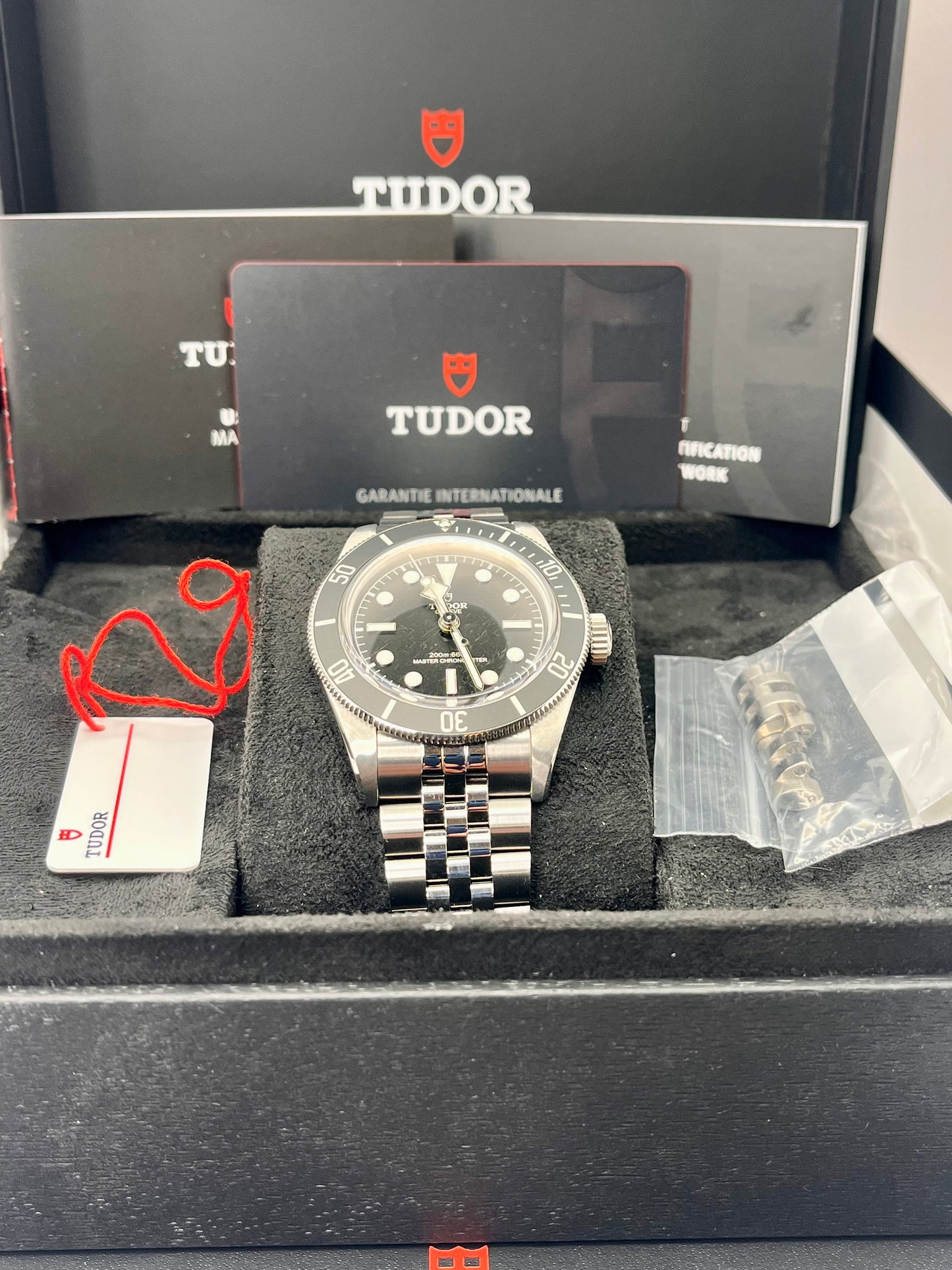 2024 TUDOR Black Bay 'Monochrome' - 41mm - M7941A1A0NU - METAS