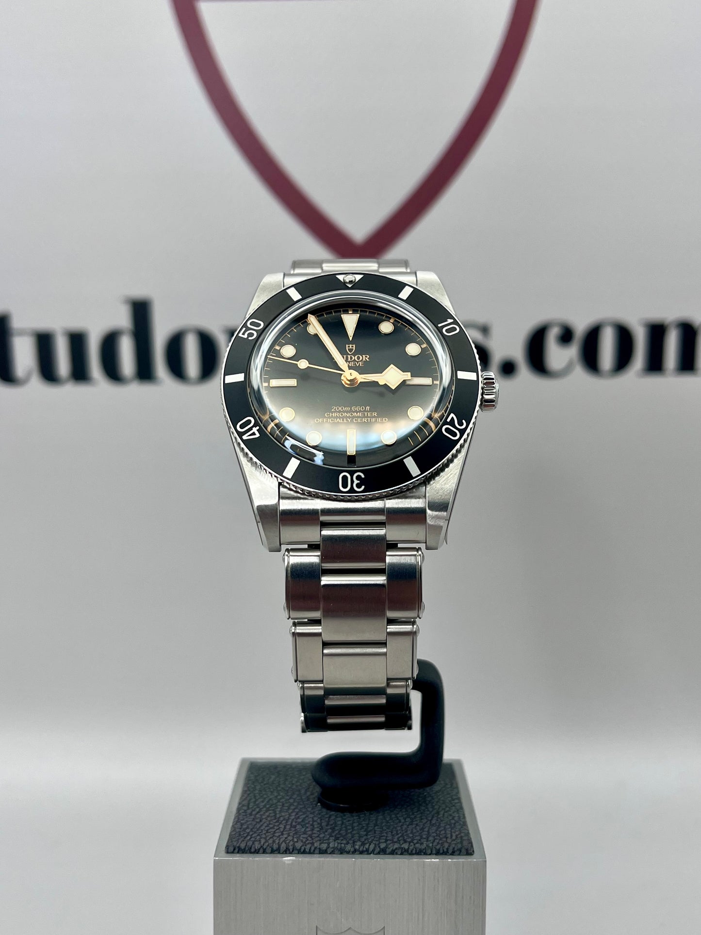 2025 **Stickered** TUDOR Black Bay 54 - 79000 - 37mm - Full Set