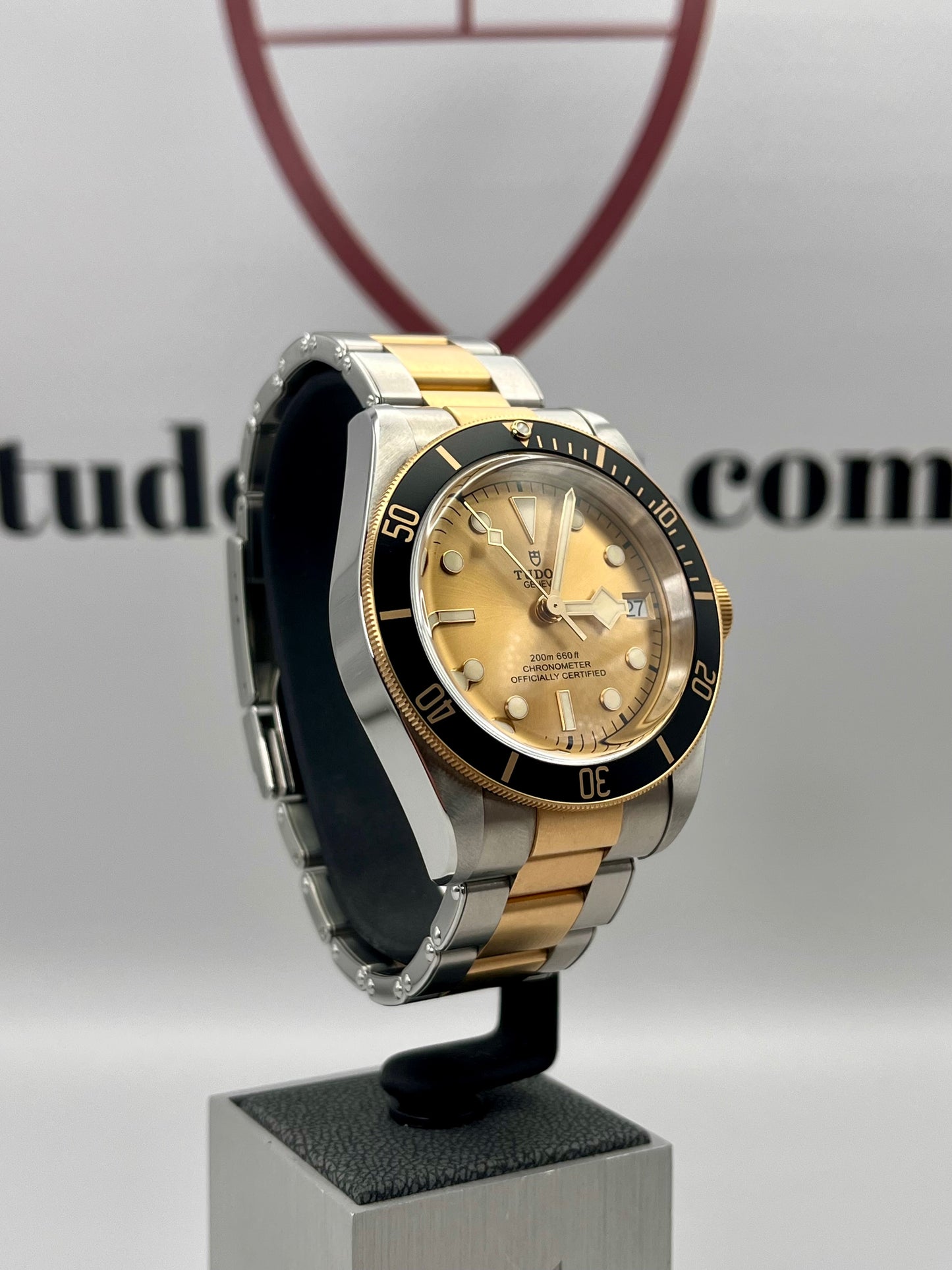 2021 TUDOR Black Bay 41mm Steel & Gold - 79733N - Full Set - Warr'ty to Oct 2026