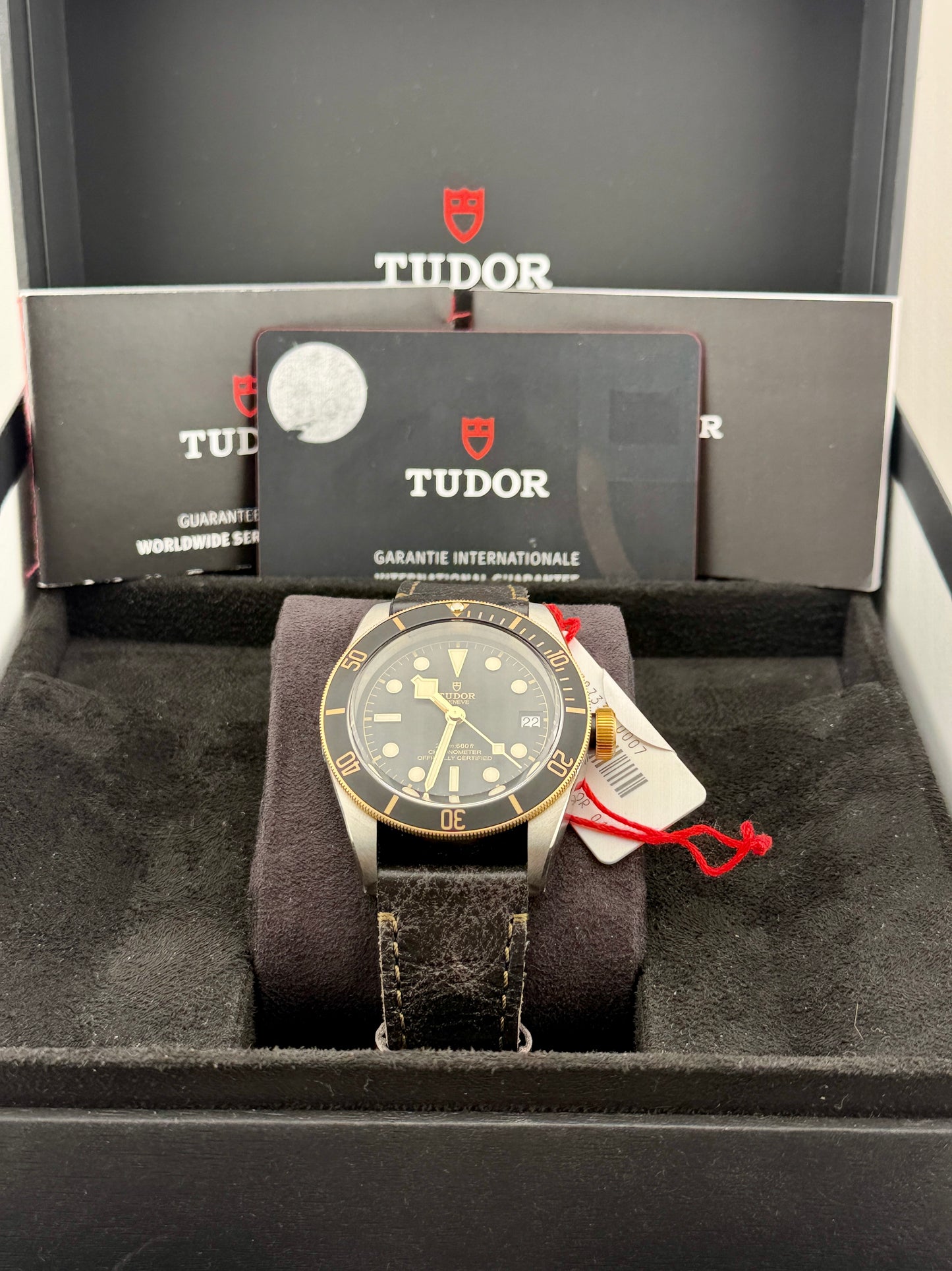 *UNWORN* 2025 TUDOR Black Bay Steel & Gold 41mm 79733N Full Set