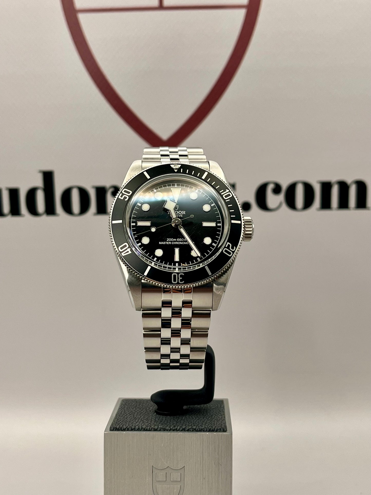 2024 TUDOR Black Bay 'Monochrome' - 41mm - M7941A1A0NU - METAS