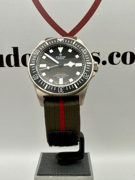 2026 New/Unworn TUDOR Pelagos FXD Black 42mm 25717N Full Set