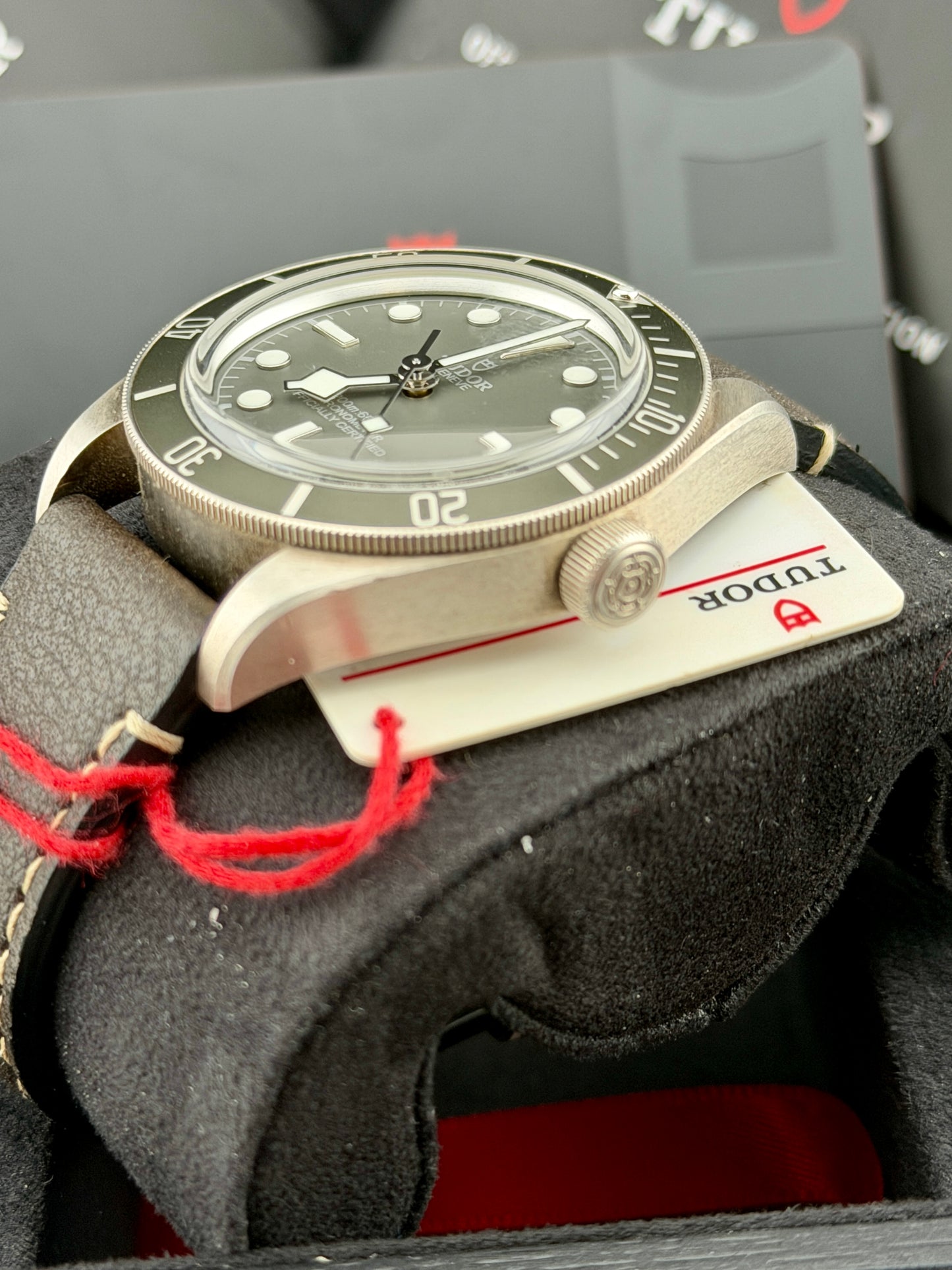 2025 TUDOR Black Bay 79010SG 39mm 925AG Full Set Warranty to 2030