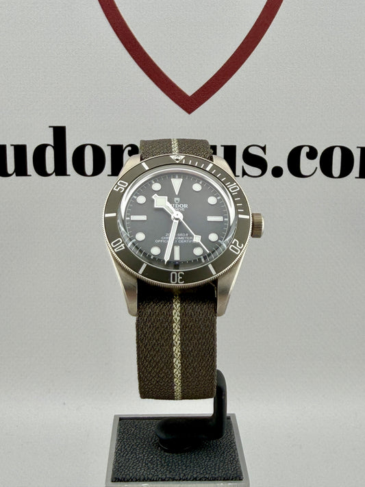 2025 TUDOR Black Bay 79010SG 39mm 925AG Full Set Warranty to 2030