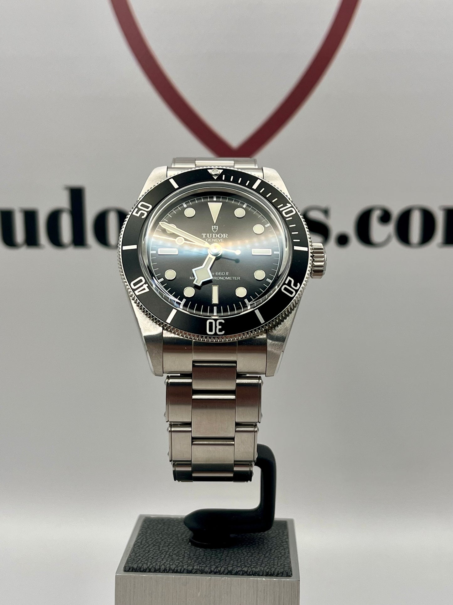 2025 TUDOR Black Bay 'Monochrome' - 41mm - M7941A1A0NU - METAS