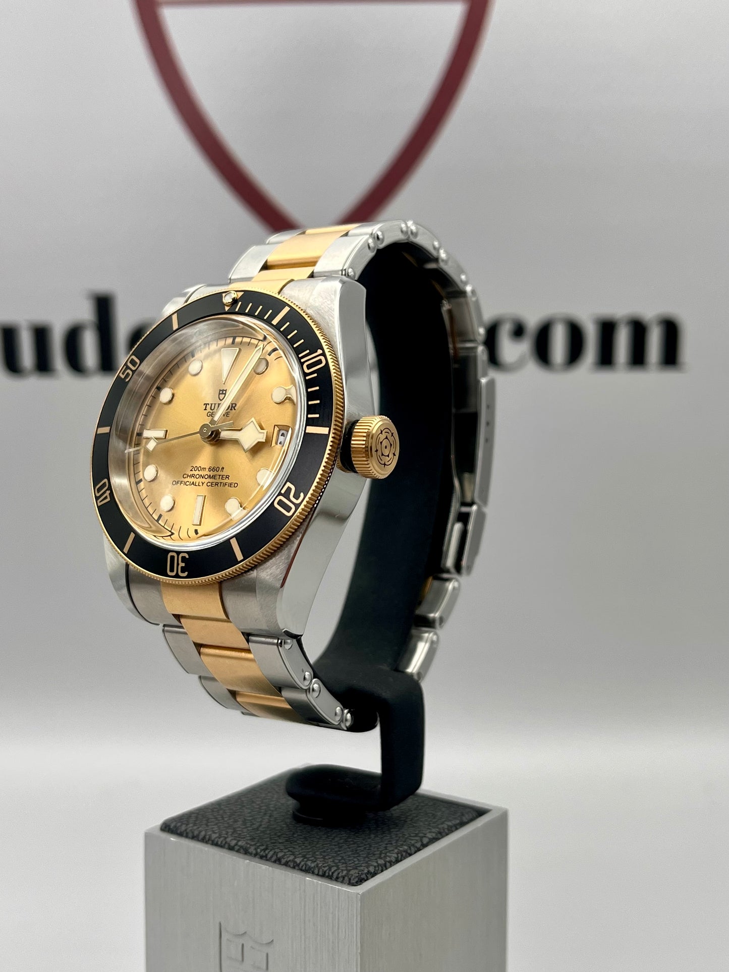 2021 TUDOR Black Bay 41mm Steel & Gold - 79733N - Full Set - Warr'ty to Oct 2026