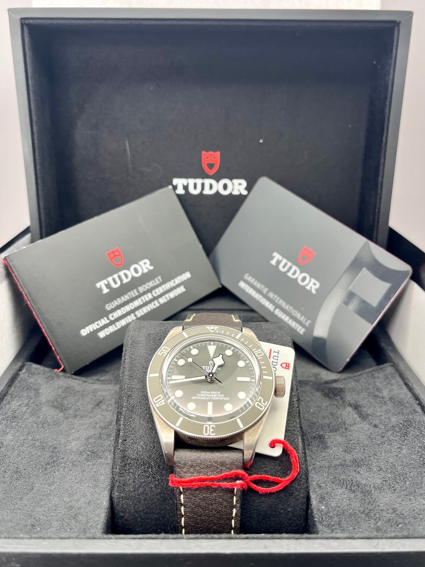2023 TUDOR Black Bay 58 - 79010SG - 925AG Silver - Warranty