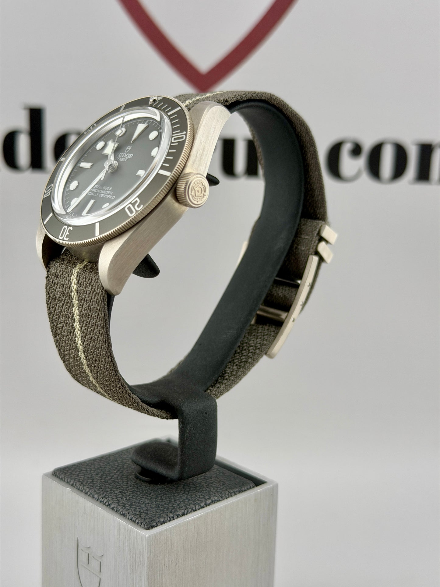 2025 TUDOR Black Bay 79010SG 39mm 925AG Full Set Warranty to 2030