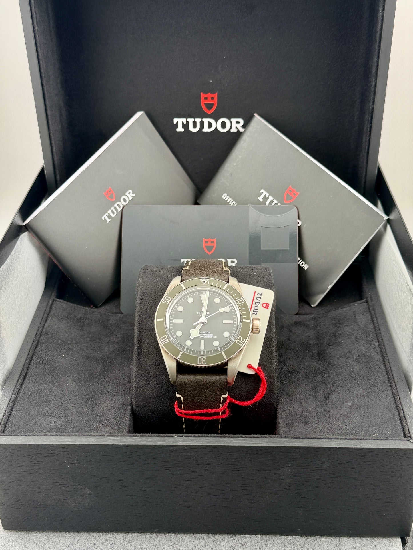 2025 TUDOR Black Bay 79010SG 39mm 925AG Full Set Warranty to 2030