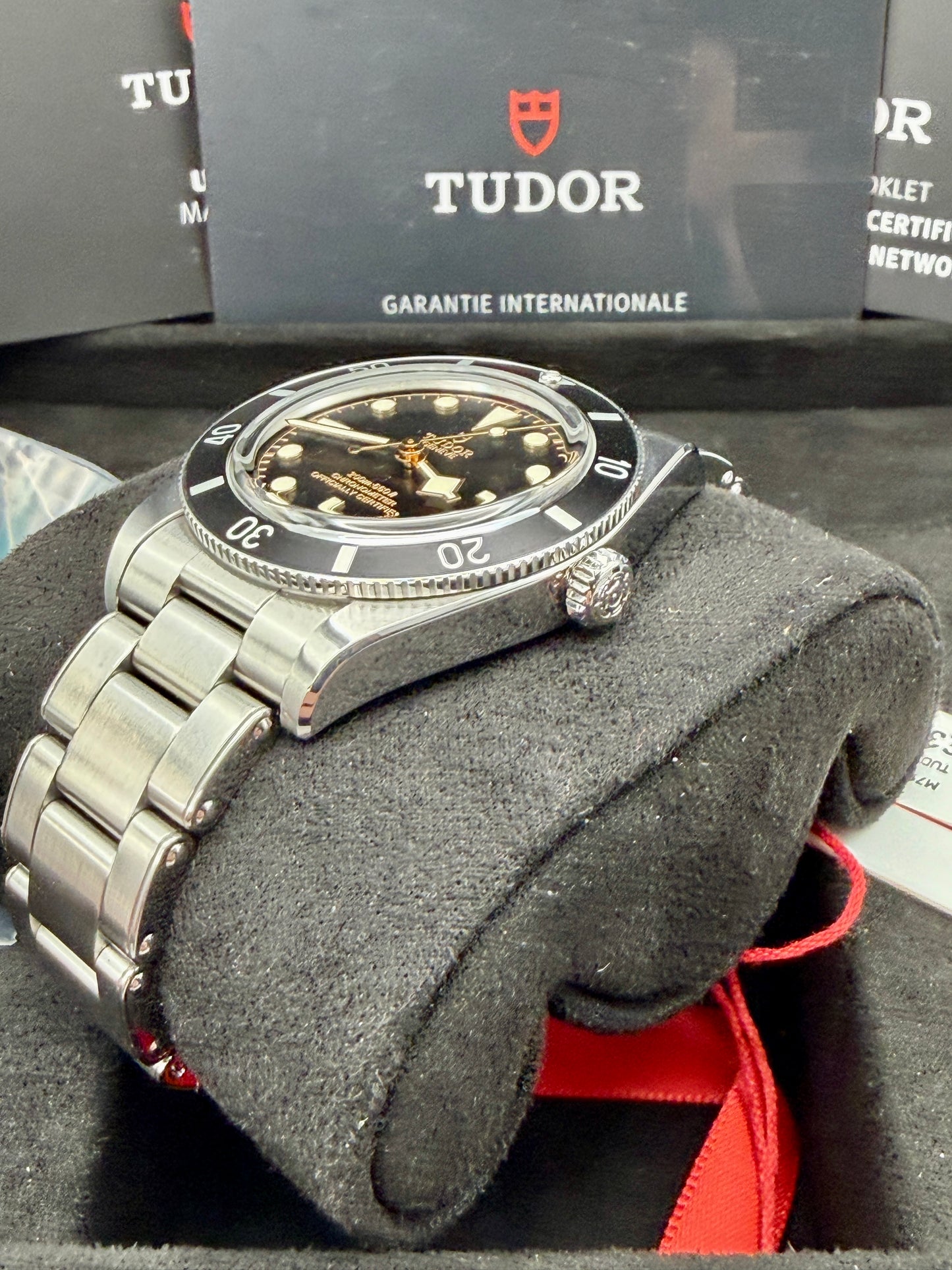 2025 TUDOR Black Bay 54 M79000 37mm Full Set Immaculate Full Set