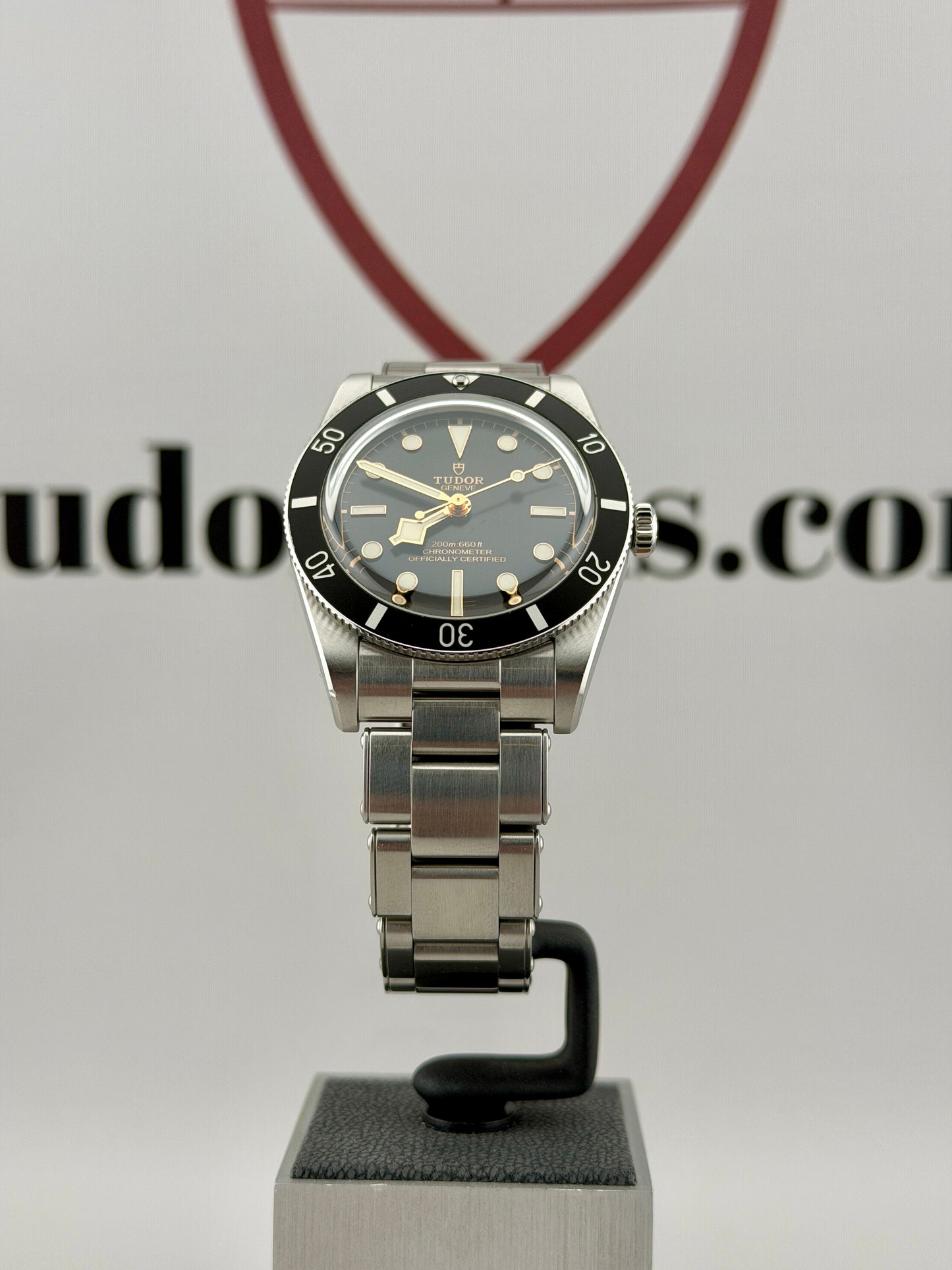 2025 TUDOR Black Bay 54 M79000N 37mm Full Set