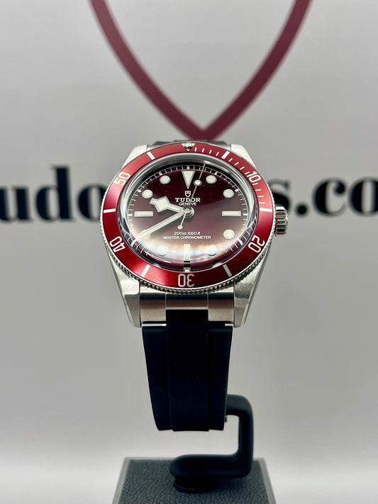 2025 *UNWORN* TUDOR Black Bay 58 - 39mm - M7939A1A0RU - Full Set